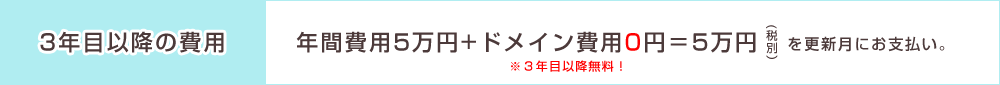 年間費用5万円+ドメイン費用0円=5万円税別を更新月にお支払い。
